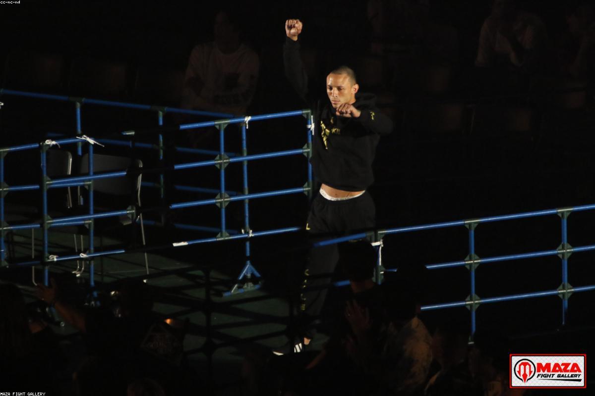 Fight arena crowd reacting under bright lights during a major event